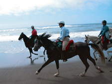 USA-California-Redwood Coast Ride